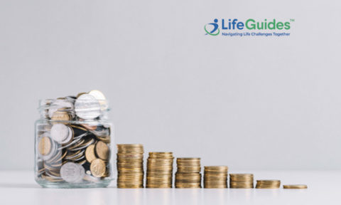 LifeGuides Announces $1M Follow-on Funding From North Shore Venture Partners As Financing Exceeds $5.5M (To Date)